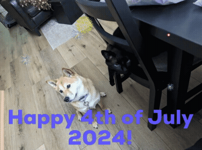 Two Dogs Happy 4Th Of July 2024 GIF