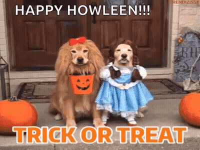 Two Dogs In Halloween Costumes Standing Together GIF