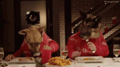 Two Dogs In Red Sweaters Eating #Freshgetfeast GIF