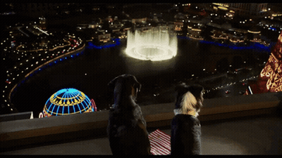 Two Dogs Looking At Fountain In City GIF