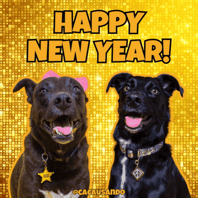 Two Dogs On A Yellow Background With The Words Happy New Year Written Above Them GIF
