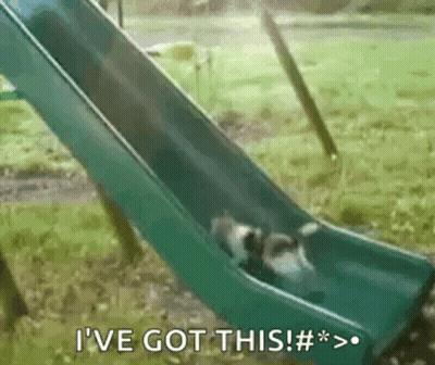Two Dogs Riding Slide Saying I've Got This GIF