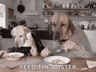 Two Dogs Sitting At Table With Food GIF