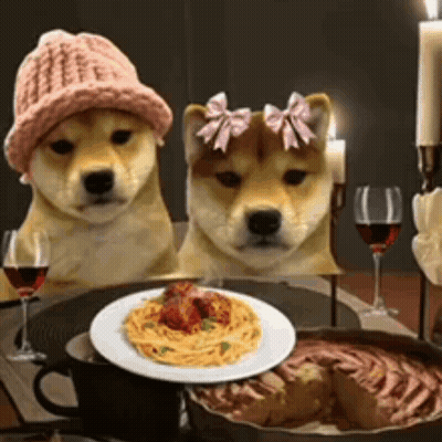 Two Dogs Sitting At Table With Spaghetti GIF
