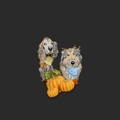 Two Dogs Sitting Next To Pumpkins And Leaves GIF