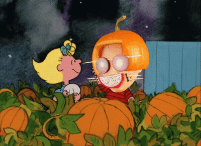 Two Dogs Sitting Next To Pumpkins And Leaves GIF