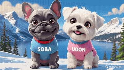 Two Dogs Soba And Udon GIF