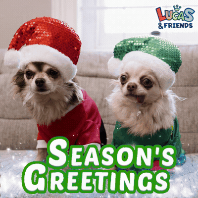 Two Dogs Wearing Santa Hats With The Words Season 'S Greetings GIF