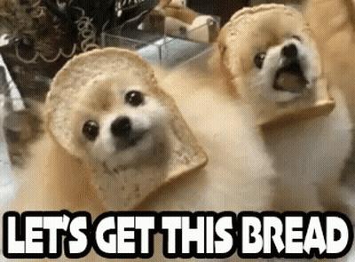 Two Dogs Wearing Slices Of Bread On Their Heads And The Words `` Let 'S Get This Bread '' . GIF