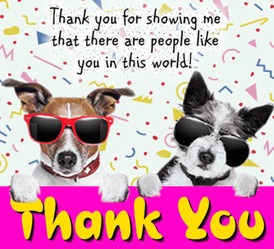 Two Dogs Wearing Sunglasses Are Behind A Sign That Says " Thank You For Showing Me That There Are People Like You In Thi GIF