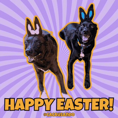 Two Dogs With Bunny Ears Happy Easter GIF