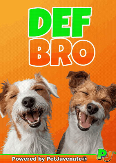 Two Dogs With Their Mouths Open And The Words Def Bro Behind Them GIF