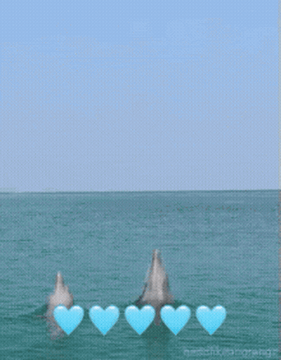 Two Dolphins Are Jumping Out Of The Water With Blue Hearts In The Foreground GIF