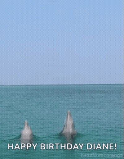 Two Dolphins Jumping With Happy Birthday Diane GIF