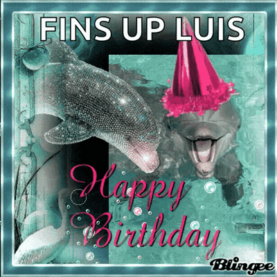 Two Dolphins Wearing Party Hats Fins Up Luis Happy Birthday GIF