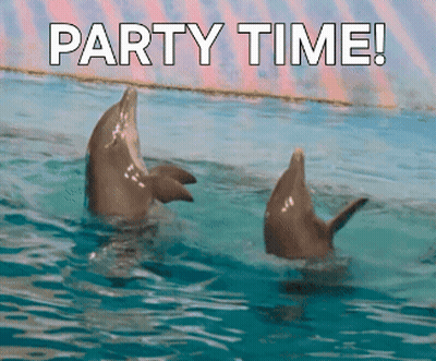 Two Dolphins With Party Time GIF