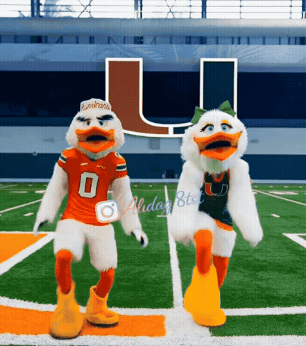 Two Duck Mascots Dancing In Front Of U GIF
