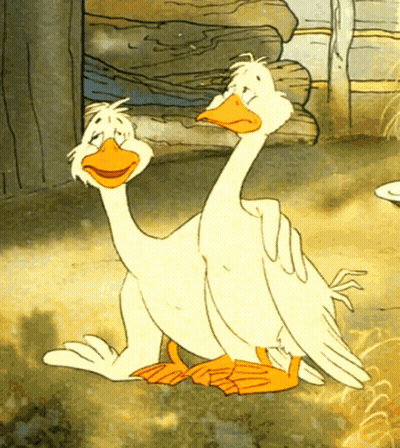Two Ducks Are Standing Next To Each Other In A Cartoon GIF