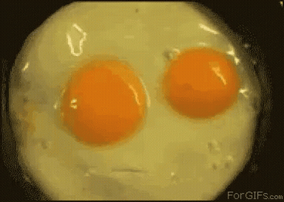 Two Eggs In A Frying Pan Forgifs.com GIF