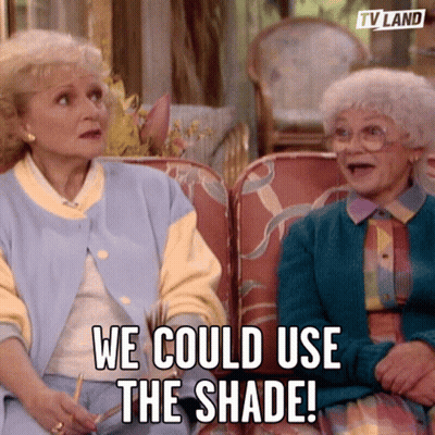 Two Elderly Women Sitting On Couch Saying We Could Use The Shade GIF