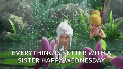 Two Fairies On A Leaf Everything Is Better With A Sister Happy Wednesday GIF