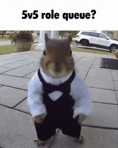 Squirrel GIFs