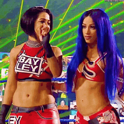 Two Female Wrestlers In Ring GIF