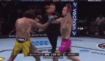 Two Fighters Boxing In Ring With VeChain Sign GIF