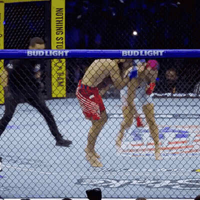 Two Fighters Cage Fighting Bud Light GIF