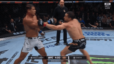 Two Fighters Fighting In Cage With UFC Logo GIF