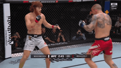 Two Fighters Fighting In Cage With UFC Logo GIF
