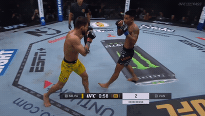 Two Fighters Fighting In UFC Ring GIF