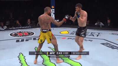 Two Fighters Fighting In UFC Ring GIF