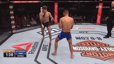 Two Fighters In A Boxing Ring With Reebok And Harley Davidson Ads GIF
