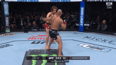 Two Fighters In Boxing Ring With Bud Light Banner GIF