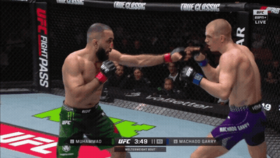 Two Fighters In UFC Fight Pass Event GIF