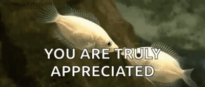 Two Fish Are Kissing Each Other And The Words `` You Are Truly Appreciated '' Are Written Below Them . GIF