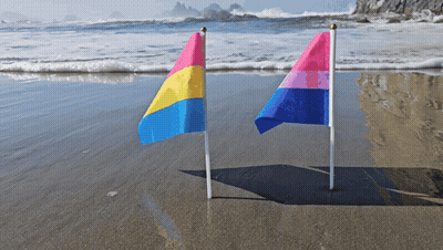 Two Flags On A Beach One Of Which Says Pansexual GIF
