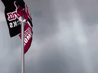 Two Flags On Pole One Says Home GIF