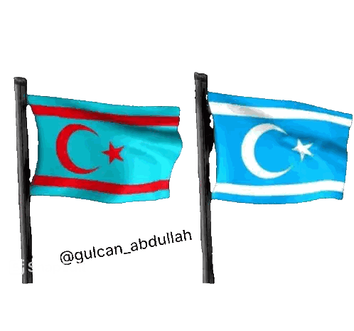 Two Flags Waving In Wind Sticker