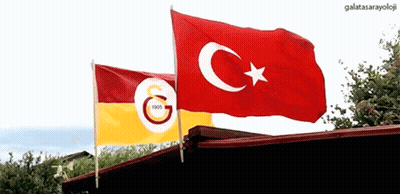 Two Flags With Letters G And C Waving GIF