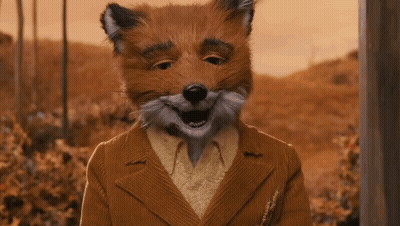Two Foxes Are Looking At Each Other In A Field GIF