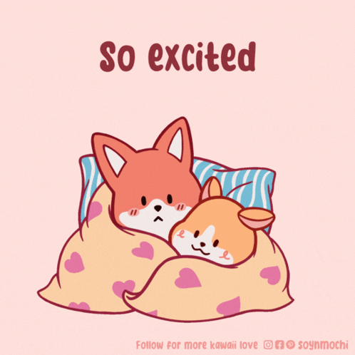 Two Foxes Laying Under Blanket With So Excited GIF