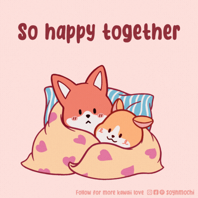 Two Foxes Sleeping Under Blanket So Happy Together GIF