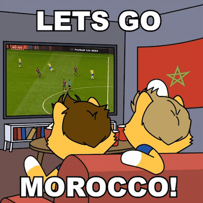 Two Foxes Watching Soccer Lets Go Morocco GIF