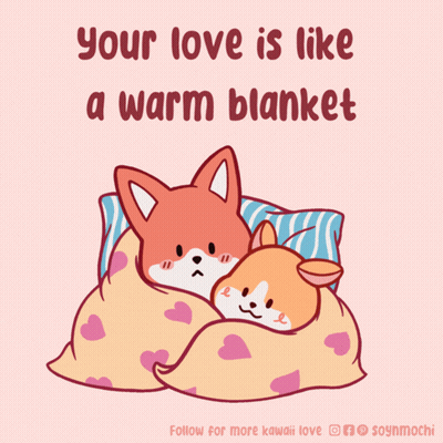 Two Foxes Wrapped In Blanket Love GIF