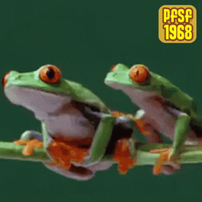 Two Frogs Are Sitting On A Branch With The Year 1968 GIF