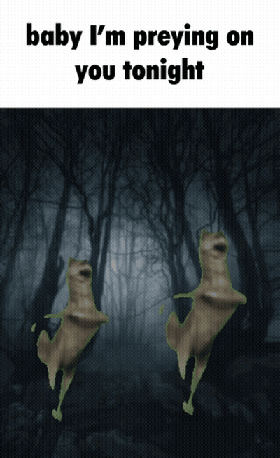 Two Frogs Dancing In Dark Forest Saying Baby I'm Preying On You Tonight GIF