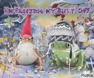Two Frogs Wearing Knitted Hats Saying Frosting My Butt Off GIF