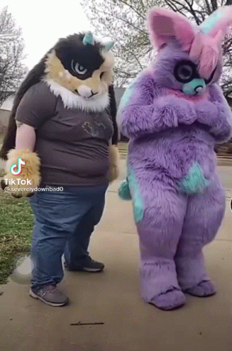 Two Furry Costumes On Sidewalk TikTok GIF
